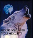 Cover: Heute schon nen Wolf geküsst?
