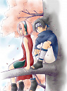 Cover: Auf einem Baum eine Sakura saß