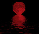 Cover: Blut im Mondschein