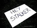 Cover: Stalker..