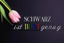 Cover: Schwarz ist bunt genug