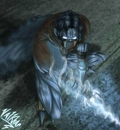 Cover: Soul Reaver Raziel x Janos