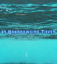 Cover: In Brandyweins Tiefen