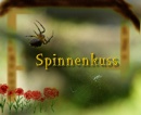 Cover: Spinnenkuss