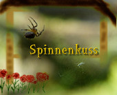 Cover von: Spinnenkuss