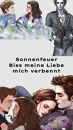 Cover: Sonnenfeuer
