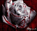 Cover: Bloody Roses for my Valentine