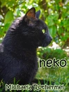 Cover: neko