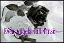 Cover: Even angels fall first