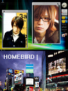 Cover: Homebird |