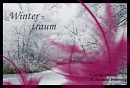 Cover: Ein Wintertraum