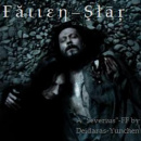 Cover: Fallen star