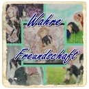 Cover: Wahre Freundschaft