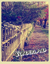 Cover: Wonderland ♥