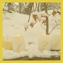 Cover: Der zweite Advent