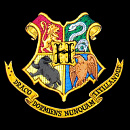 Cover: Mission to Hogwarts