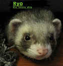 Cover: Ryo