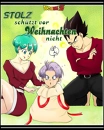 Cover: Stolz schützt vor Weihnachten nicht