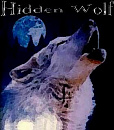Cover: Hidden Wolf