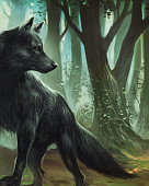 Cover von: Wolfs-Junge