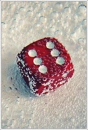 Cover: Rolling the dice
