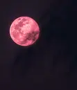 Cover: Roter Mond