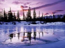Cover: Frozen Lake