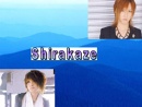 Cover: Shirakaze