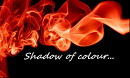 Cover: Shadow of colour