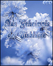 Cover: Das Geheimnis der Eisblume