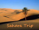 Cover: Sahara Trip