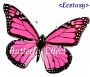 Cover: Butterfly EX-Perience