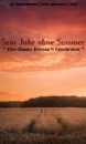 Cover: Sein Jahr ohne Sommer