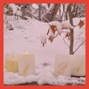 Cover: Der allererste erste Advent