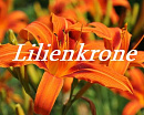 Cover: Lilienkrone