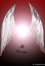 Cover: My Firewings