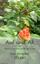 Cover: Auf und Ab