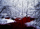 Cover: Blut im Schnee