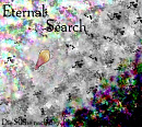 Cover: Eternal Search