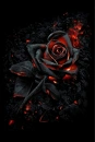 Cover: BlackRose