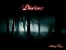 Cover: Bloodiness - Blutdurst