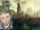 Cover: C'est la vie