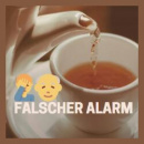 Cover: Falscher Alarm
