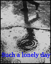Cover: Such a lonely day