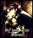 Cover: My home is the shadow