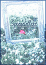 Cover: Spiegeleffekt