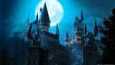 Cover: Harry Potter und die Schüler Merlins