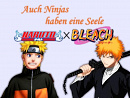 Cover: Auch Ninjas haben eine Seele