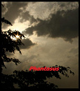 Cover: Phantasus