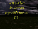 Cover: Was machen die Senseis eigentlich nachts?